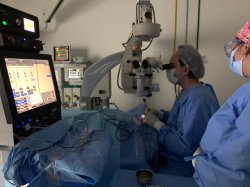 Cirurgia ocular para deslocamento de retina é realizada com o Megatron S4